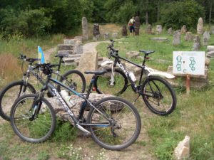 VLUU L110, M110  / Samsung L110, M110