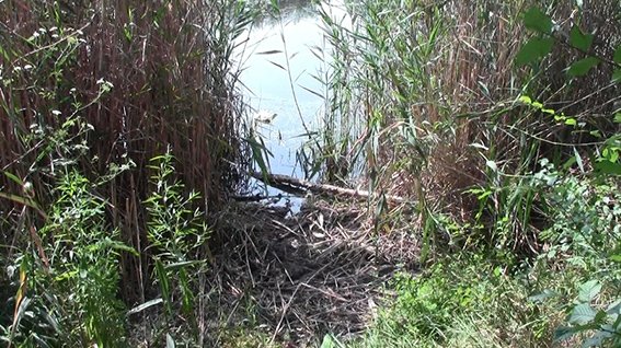 убийство_Погороднее