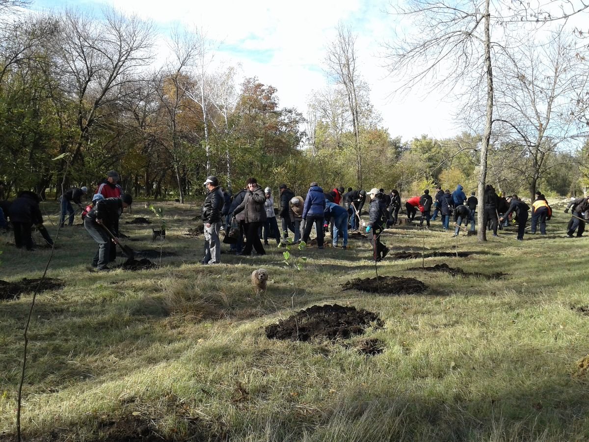 _______-_____-____________-22102016-4