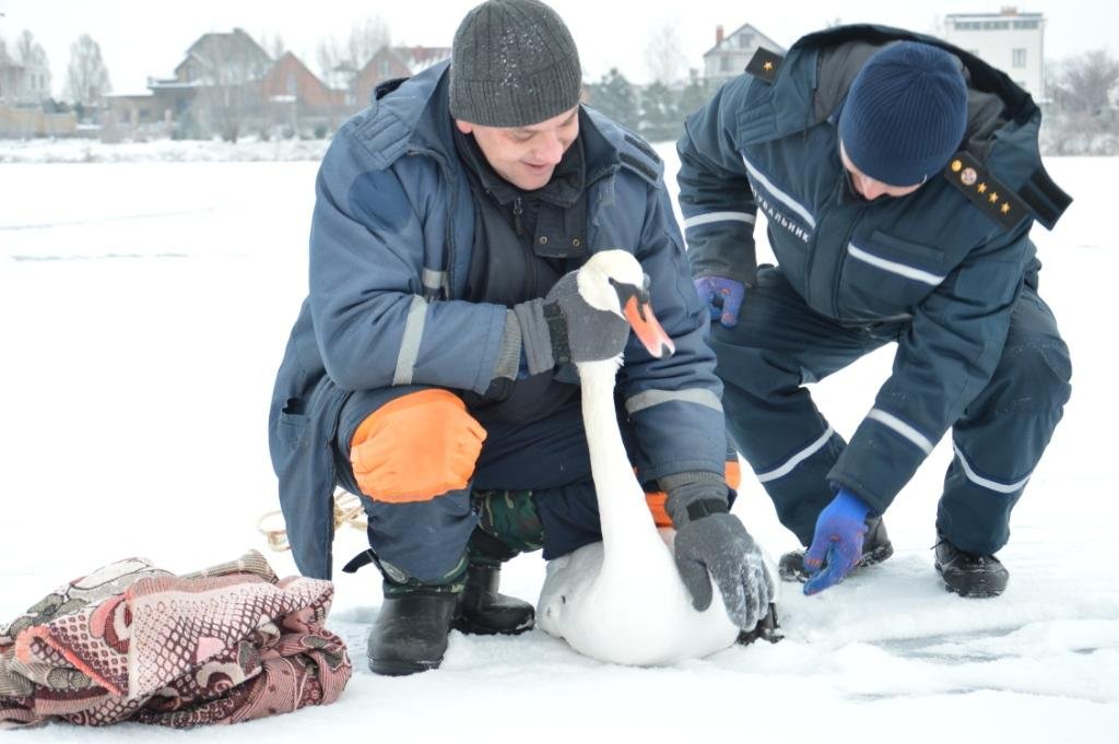 ????????????????????????????????????