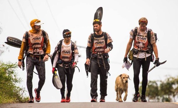 бездомная собака