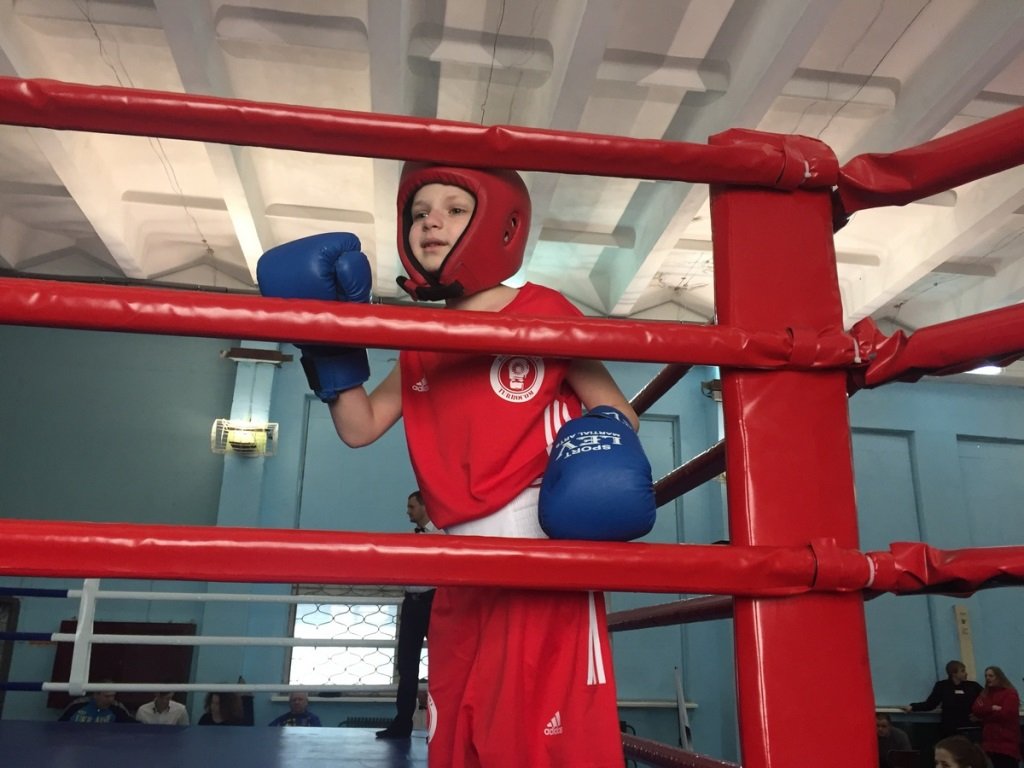 бокс_Вилкул