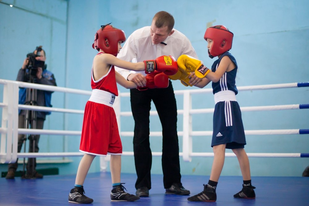 бокс_Вилкул