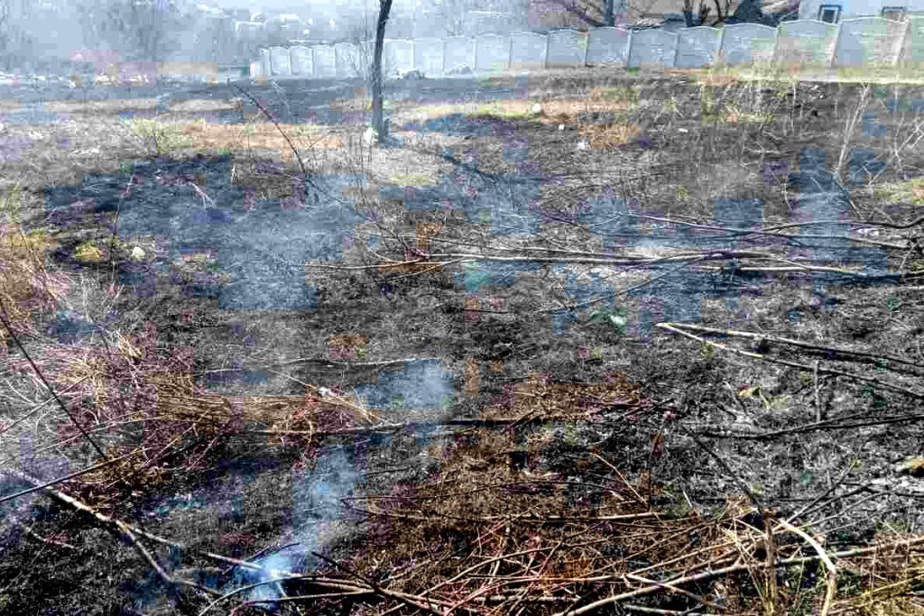 пожежа_трава