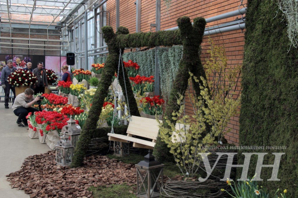 фестиваль тюльпанов