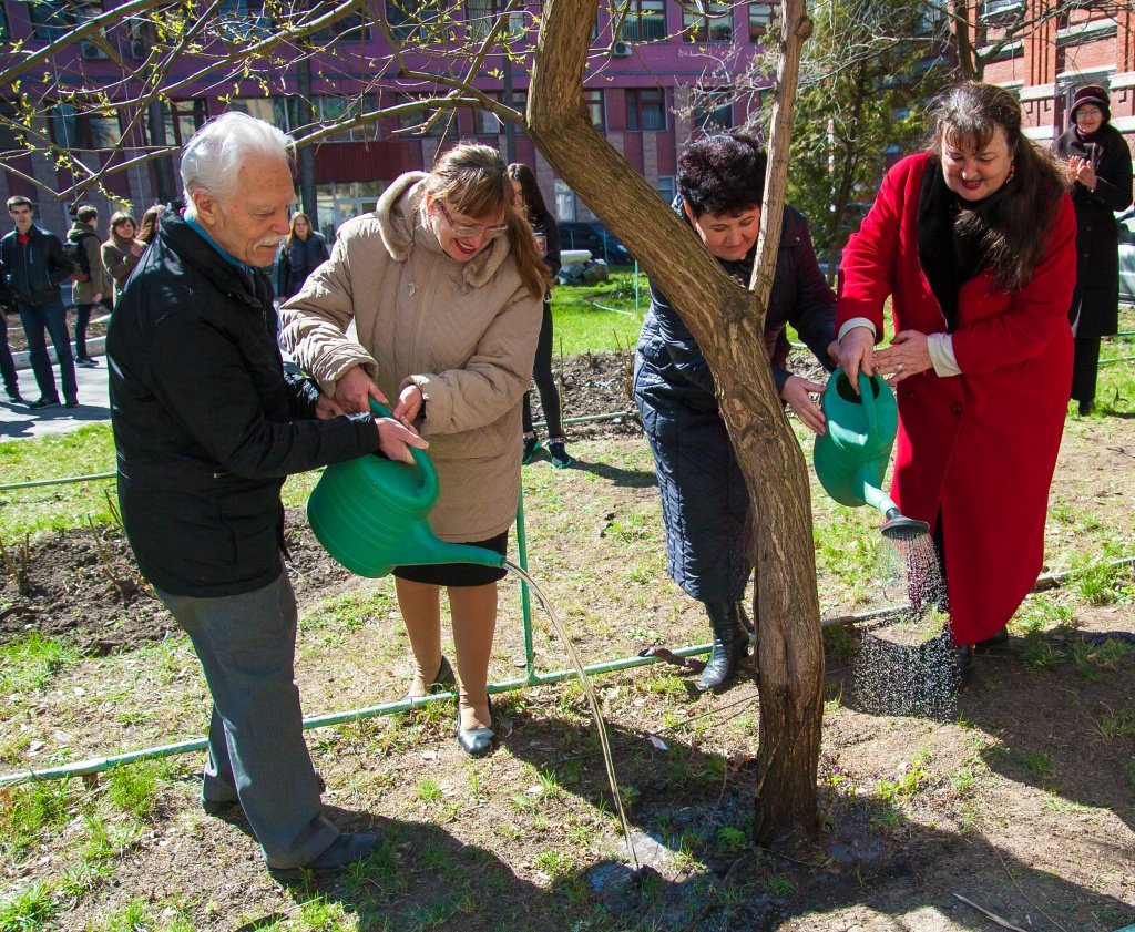 Гончарова верба