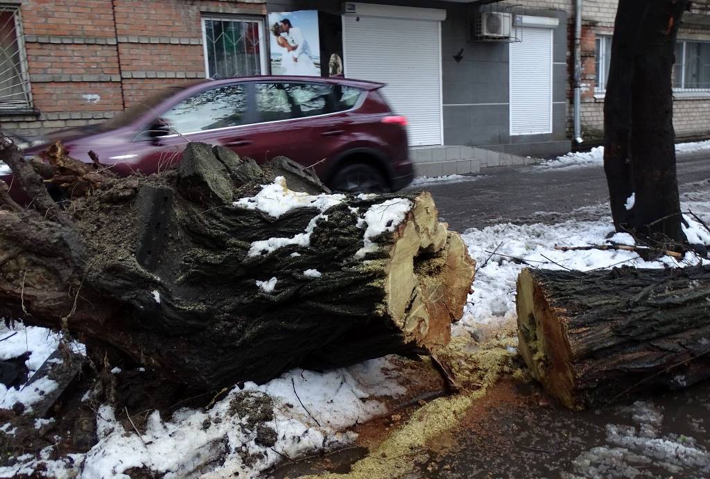 Дніпро_наслідки негоди