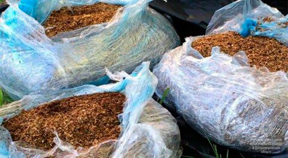 13-19-38-downloadfile