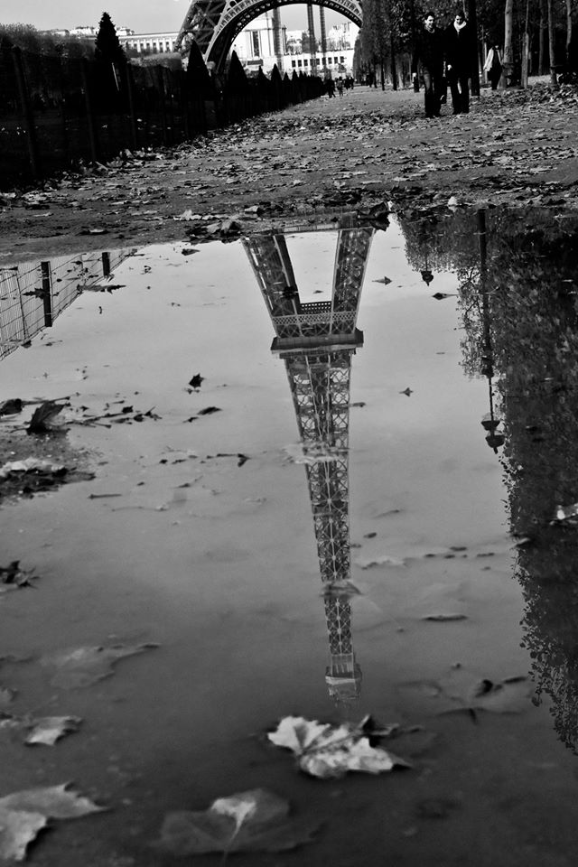 18278088_426238274405616_2918694829575759061_o