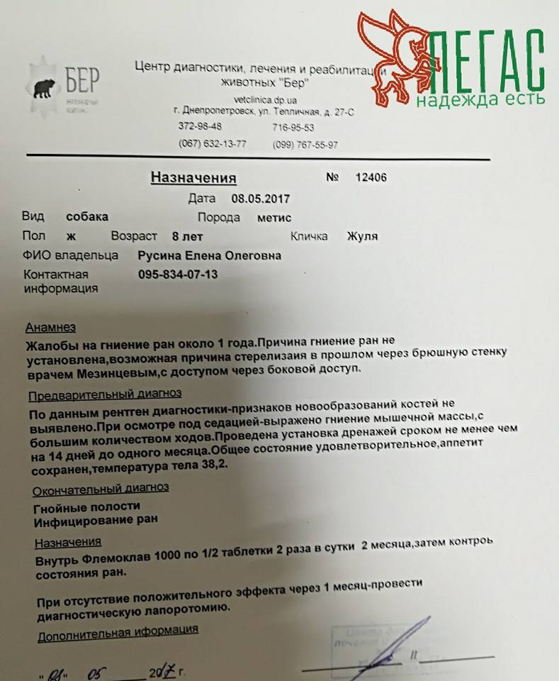 18527751_857920904359152_249762959374507620_n