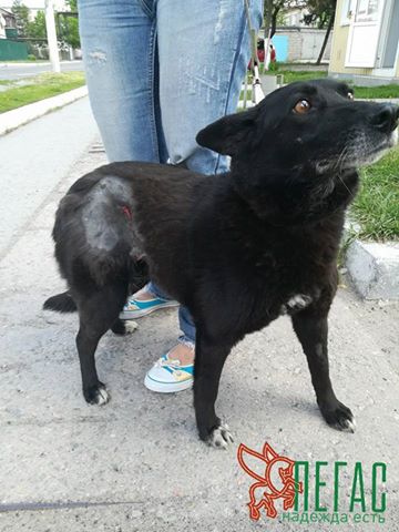 18556132_857920881025821_604486941952619804_n