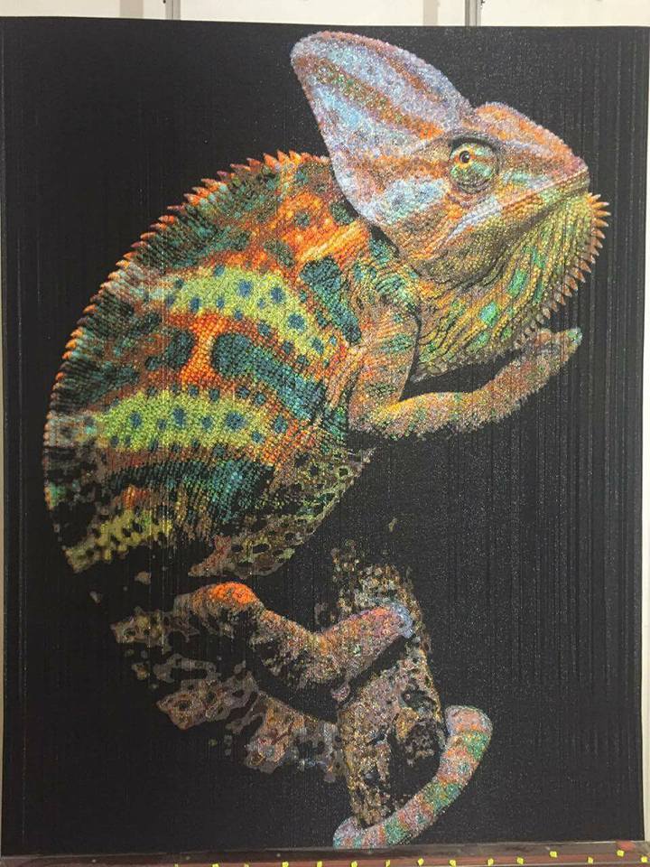 18557435_805465376285623_2176423420068112857_n