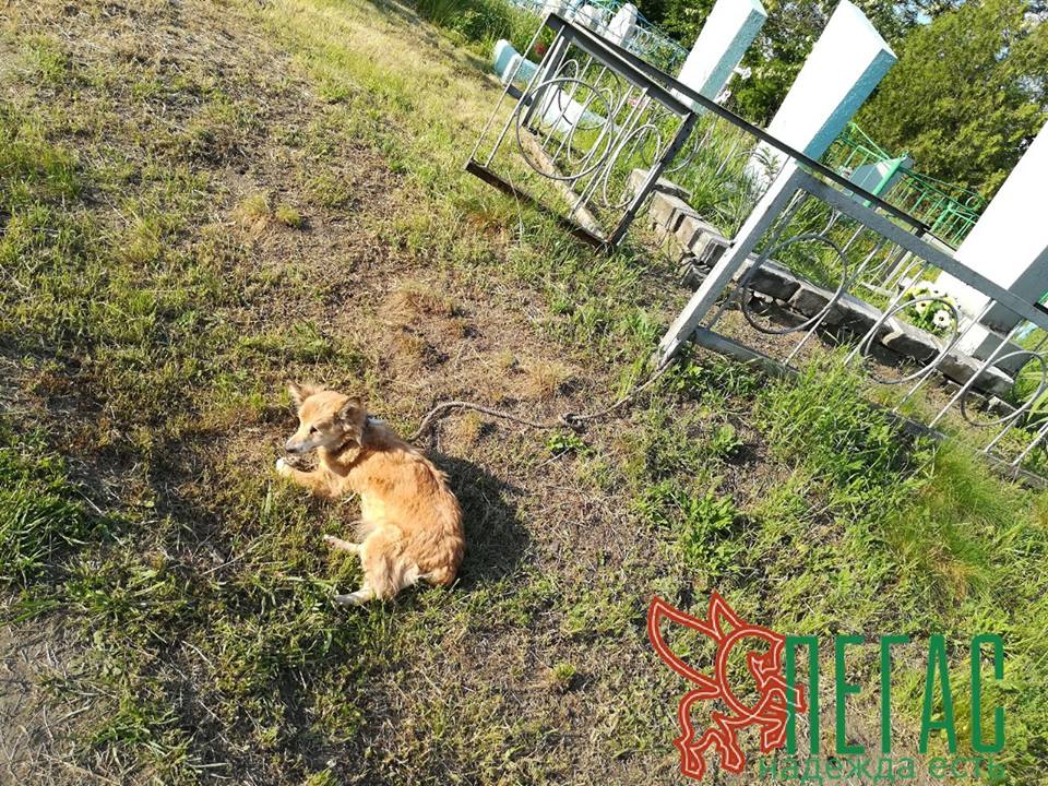 18622405_1880755002149358_6824202558936731846_n