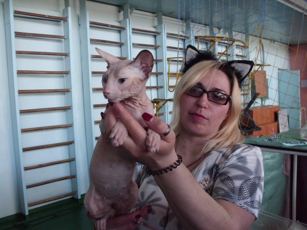 Международная выставка кошек_Никополь