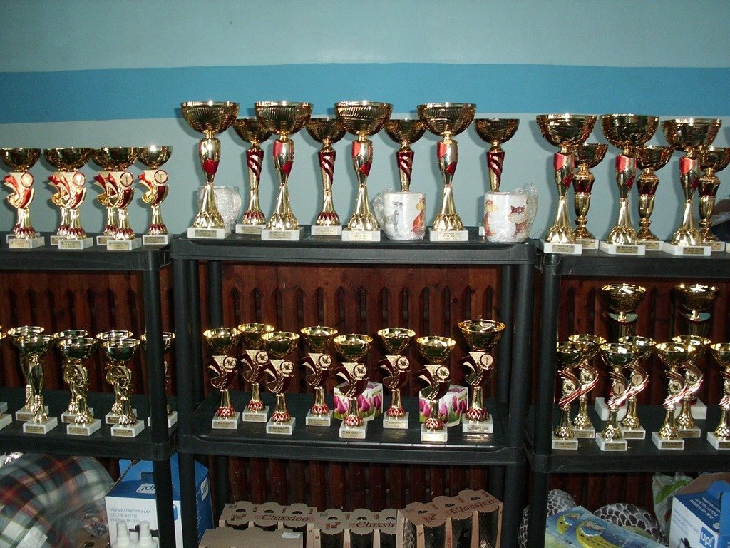 Международная выставка кошек_Никополь