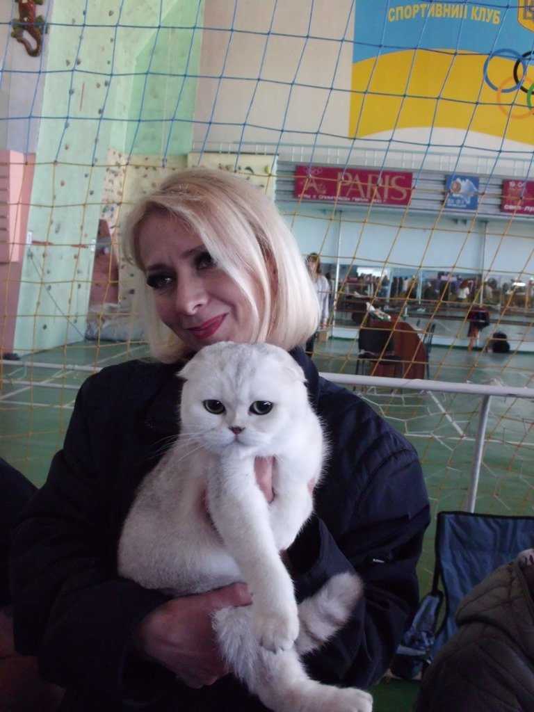 Международная выставка кошек_Никополь
