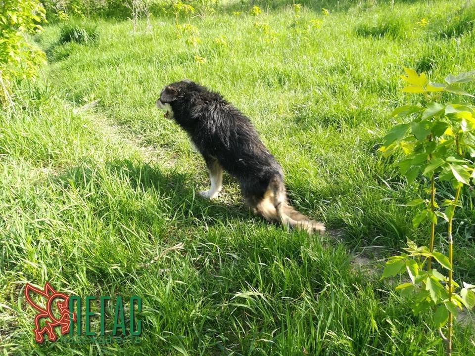 Назар_спинальник