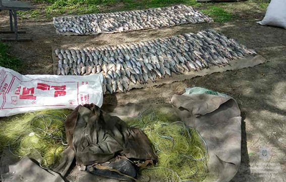 браконьєр_риба