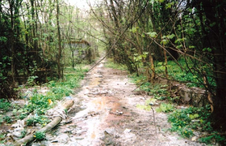 парк Днепра