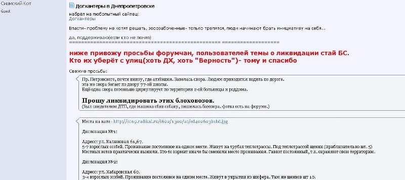 скрин_собаки