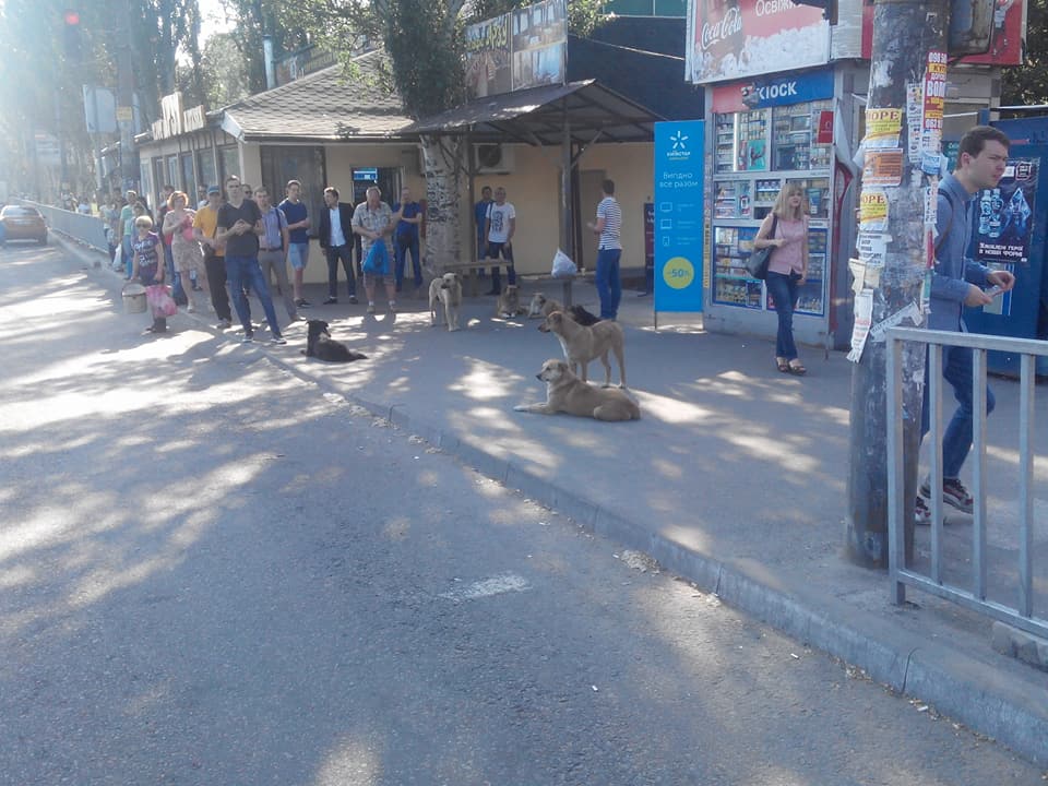 18740302_273521659779277_3231040922713327646_n