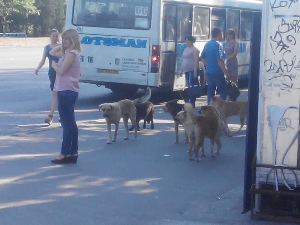 18765920_273521683112608_6103450788470362768_n