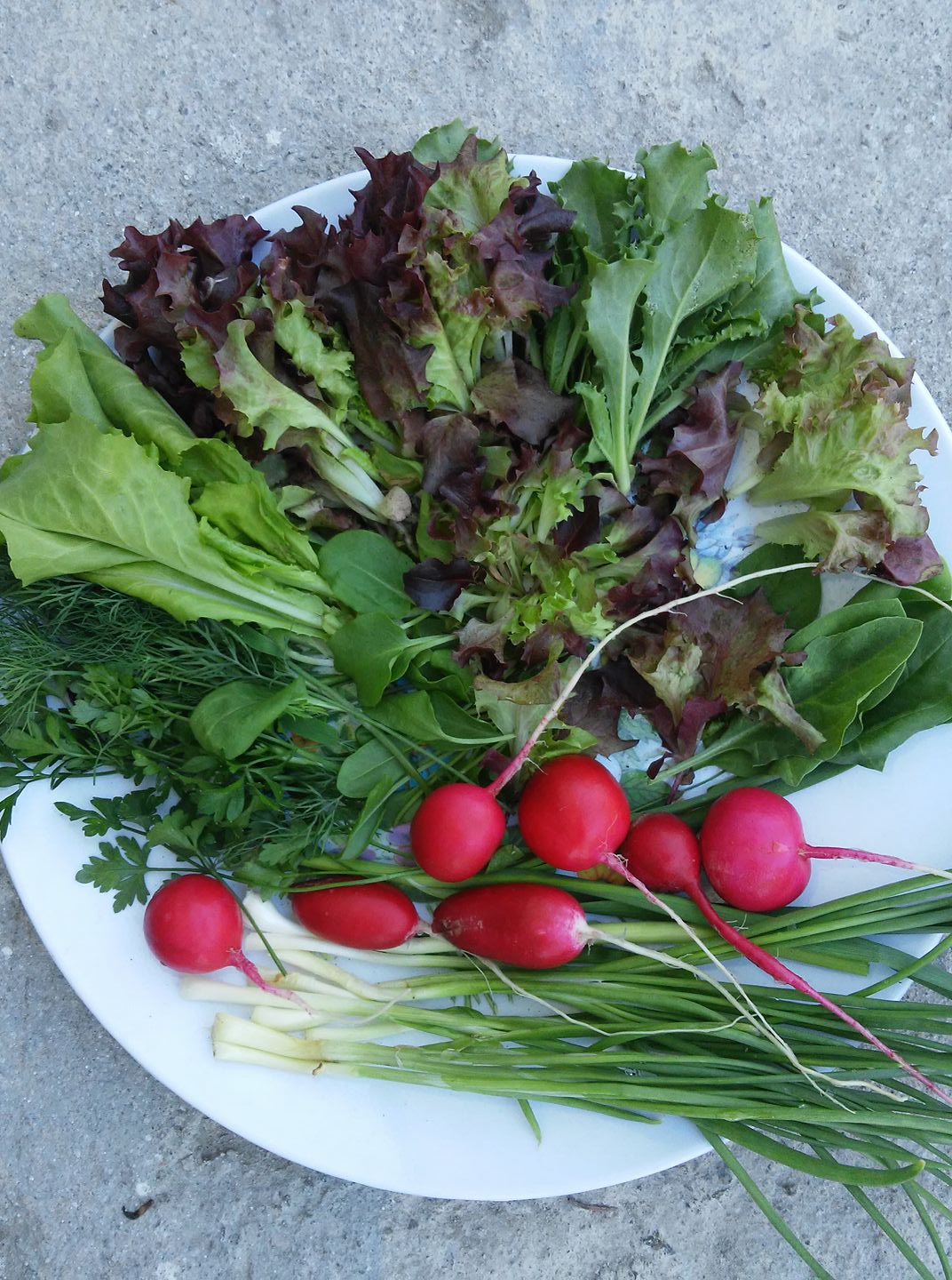 18920828_134652680435821_3217539877819983302_o