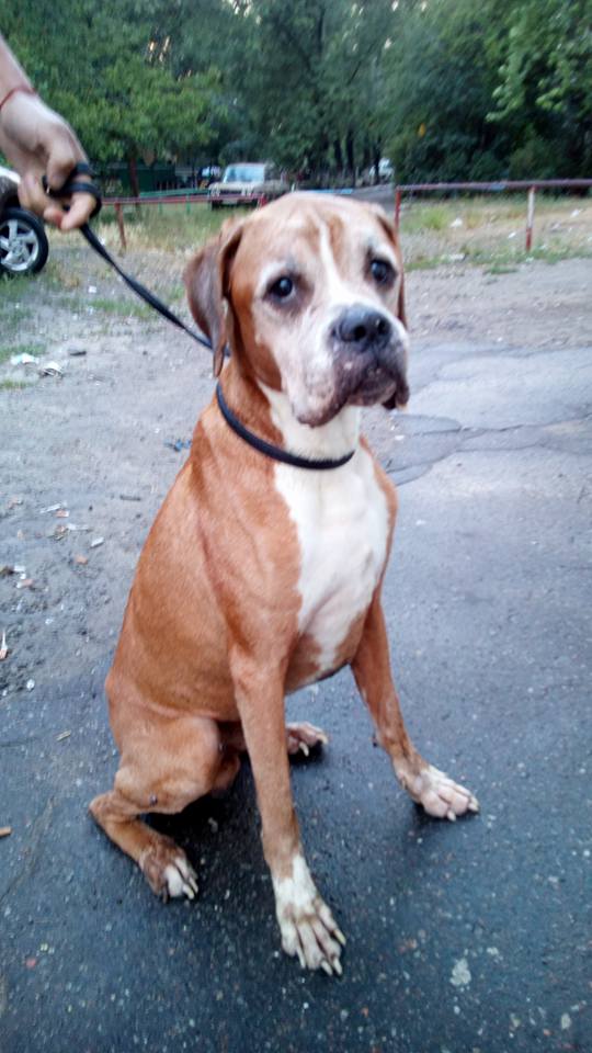 19060065_114161672516067_3420329349856034080_n