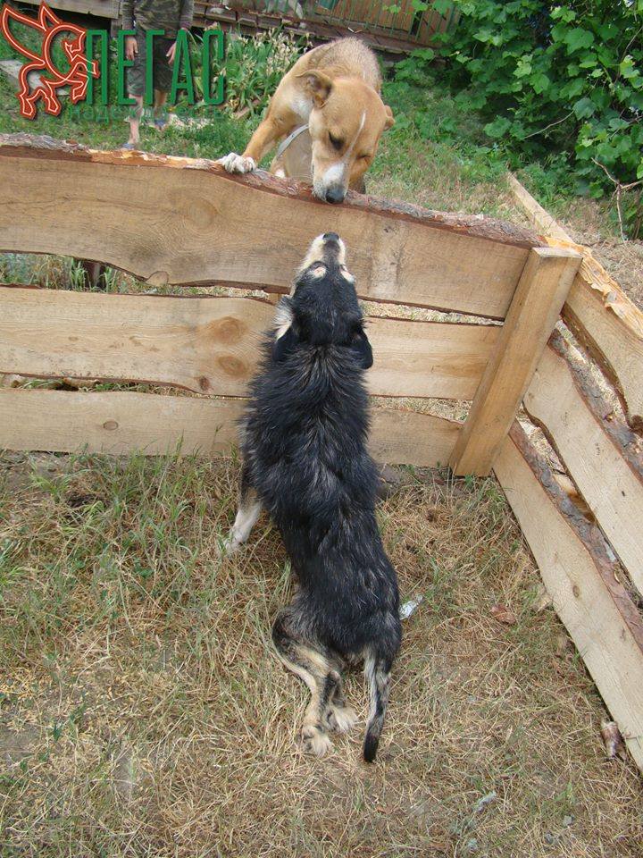 19105562_871521486332427_2931547801652491018_n