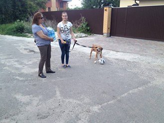 19113756_1453348774708238_382676137247234911_n