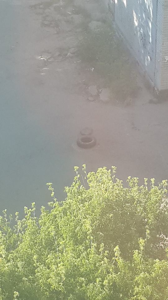 19248000_1509895005739809_7981570208325535925_n