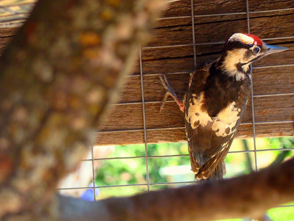 19424187_879648512186391_7208263163959577408_n