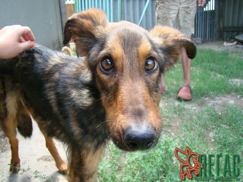 19429793_878652362286006_7969656213640044240_n