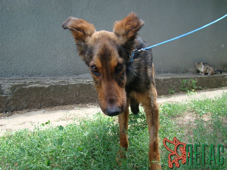 19511116_878652342286008_3020756944482008948_n