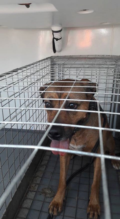 19511456_1572011606176242_5641316207846755789_n