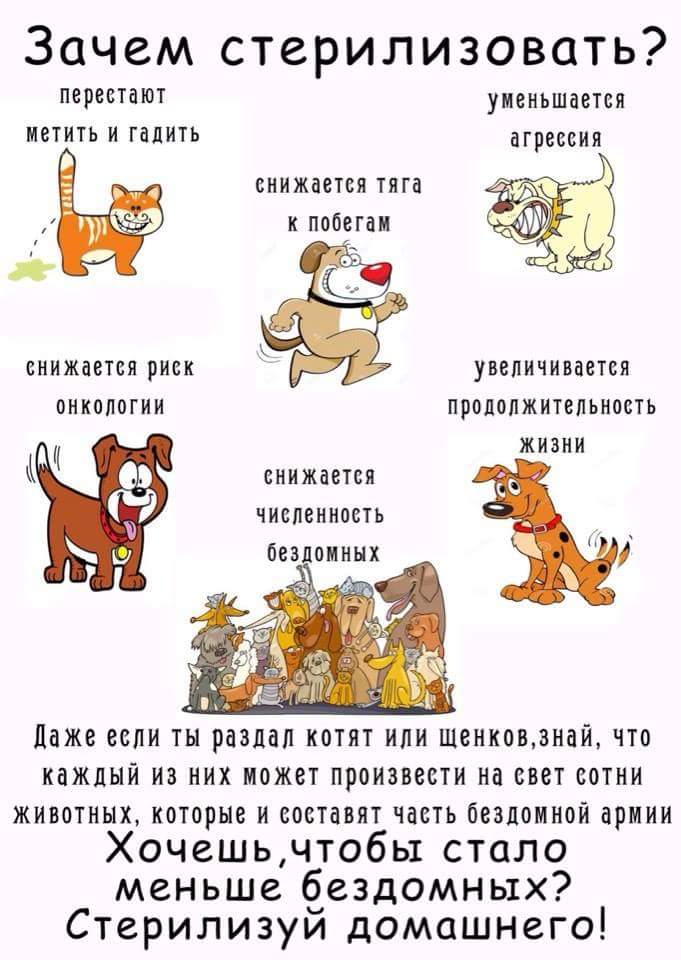 FB_IMG_1496308238267