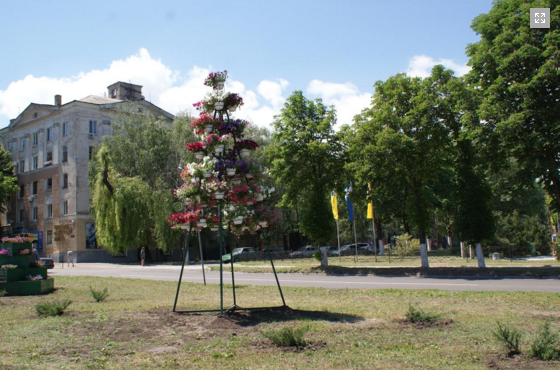 Кам'янське_пітунії