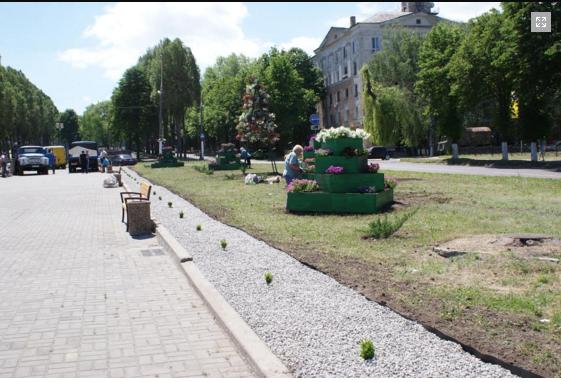 Кам'янське_пітунії