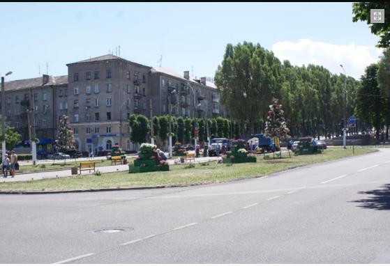 Кам'янське_пітунії