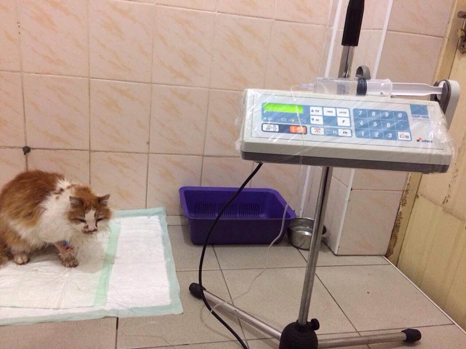 19248122_1902426069982251_1067107819851616496_n