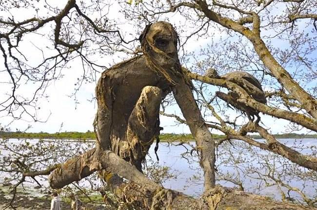 19875406_1543109419043038_6854894606355420215_n