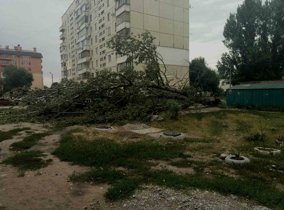 наслідки негоди_Новомосковськ