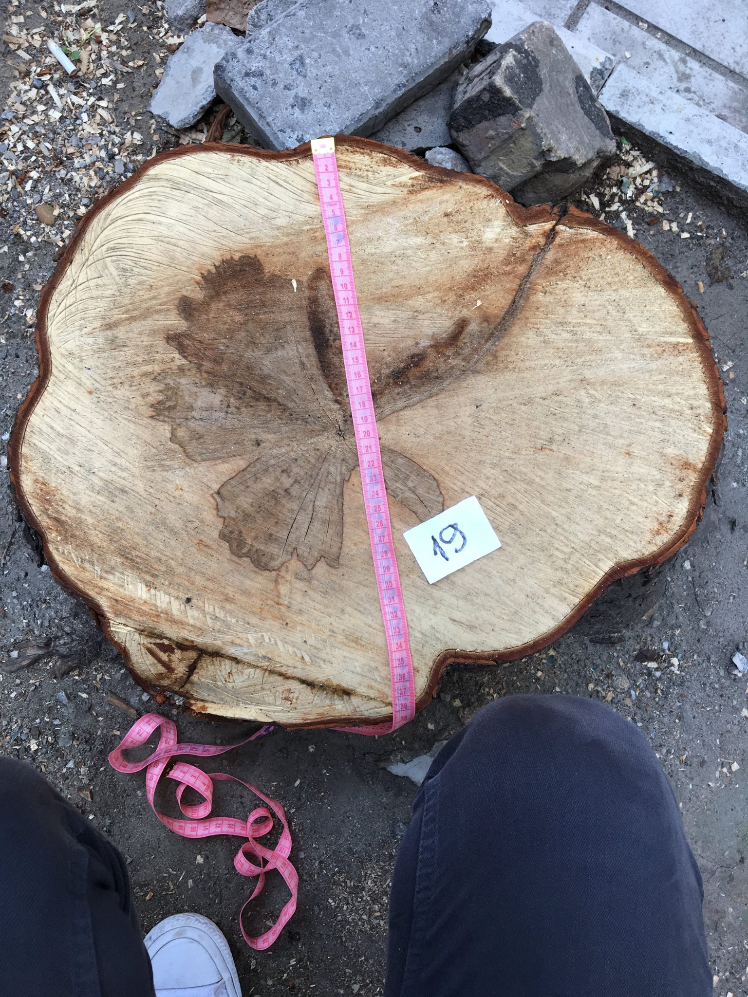 20543707_836939479801224_1524570786003112016_o