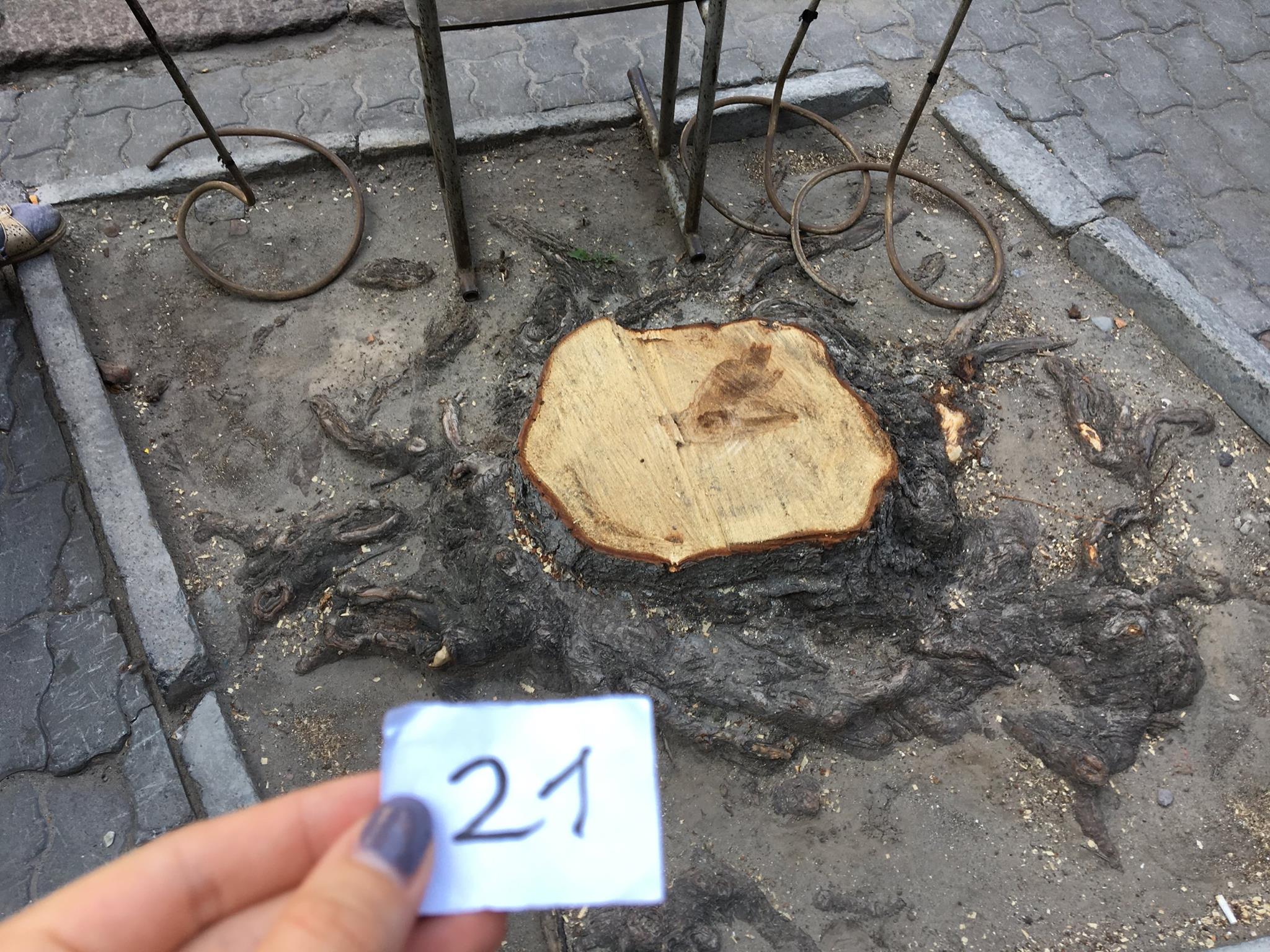 20543996_836939423134563_4568926888127557110_o