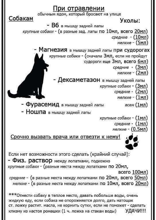 20596971_703140476547001_5703199843548138932_n