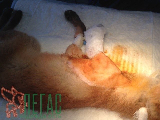 20621174_904943842990191_5908728325688870542_n