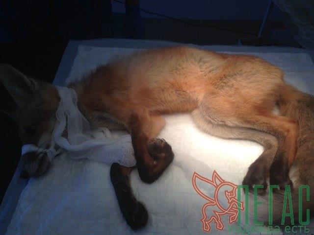 20664782_904943839656858_6402722116207474939_n