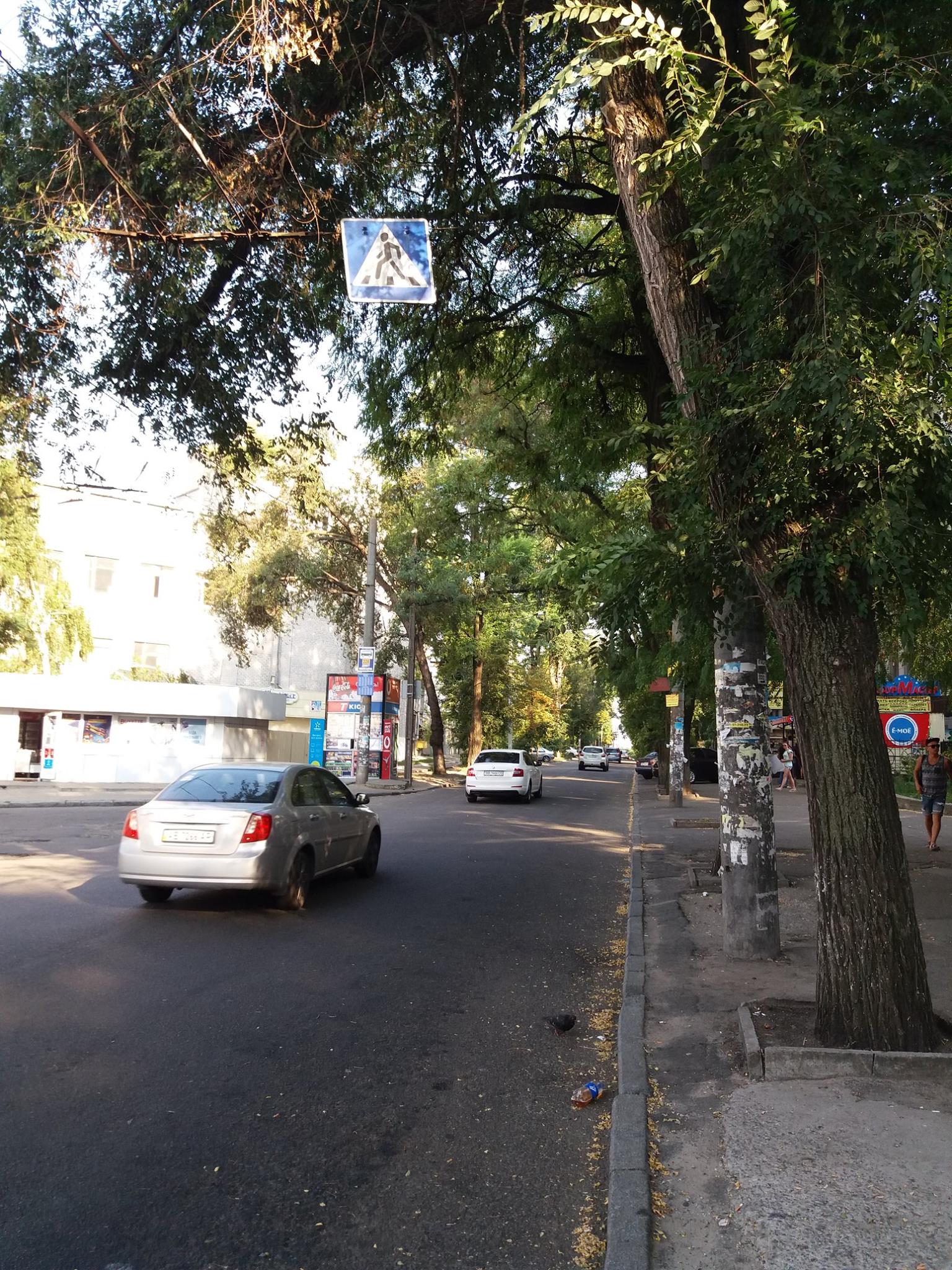 20746156_1844382509211282_8779482436799448674_o