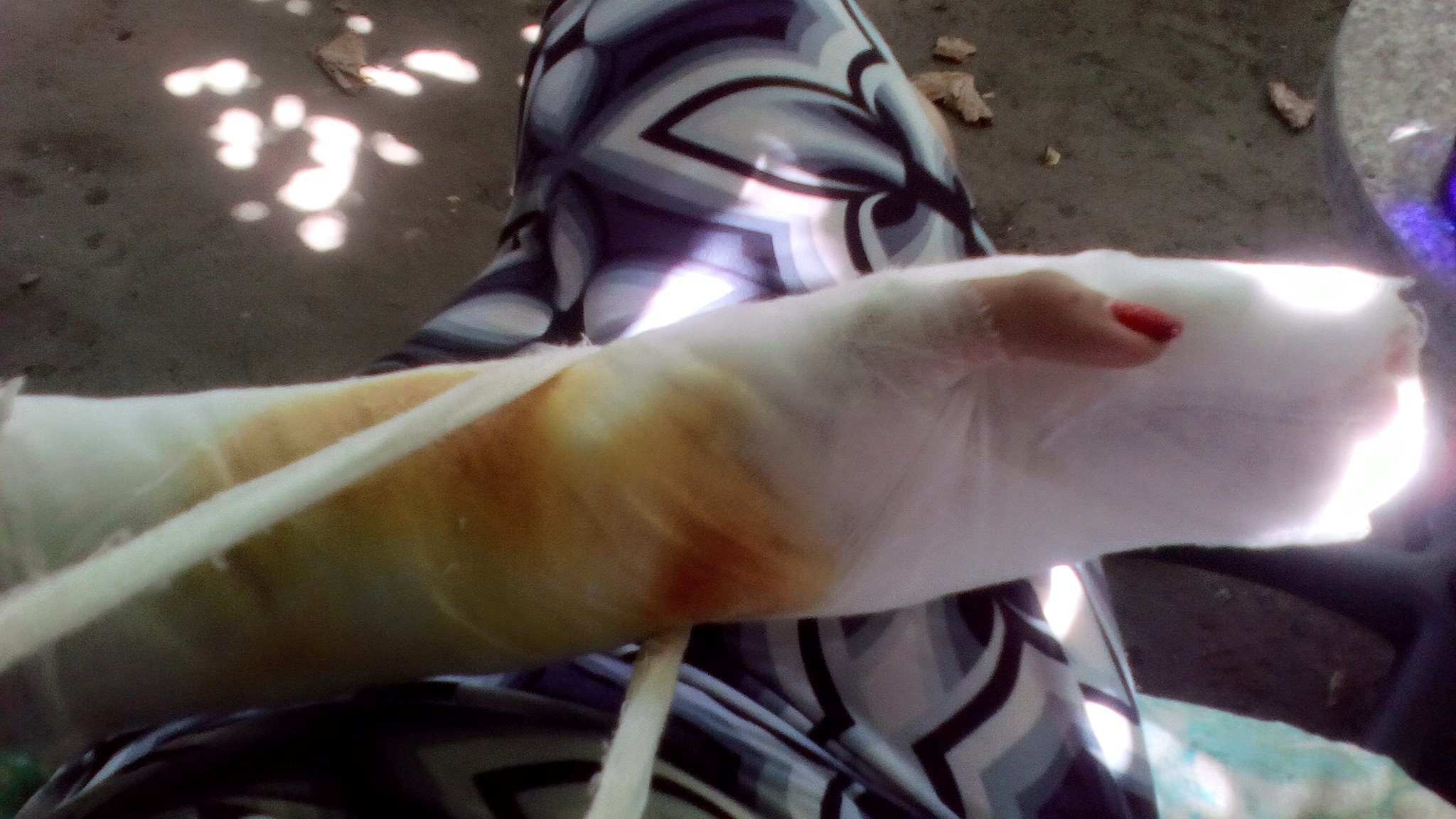 20748202_987354288082563_8946372289399553995_o