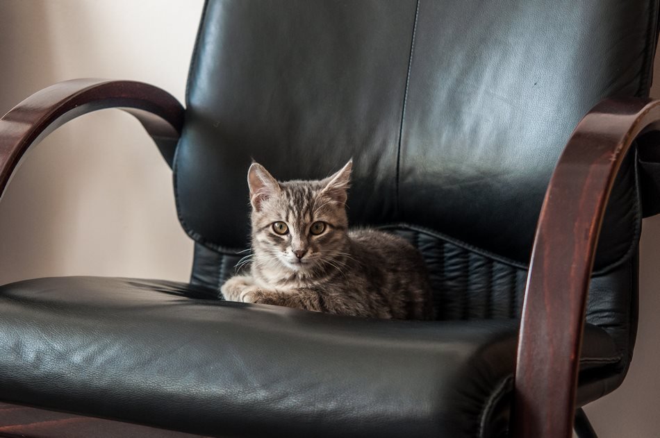 20768104_148482675731452_6128504119543759606_n